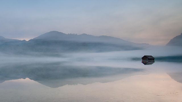 纪录片分区代表卡示意：自然纪录片画面，晨雾中的山谷与远处山脊，冷紫色调，画面下方标注集数