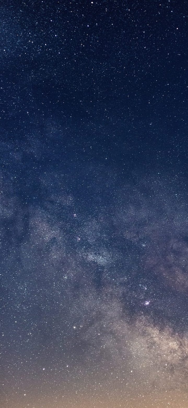 老王视频 App 首页界面截图，深紫色背景上竖向排列着分区卡片与剧集封面，顶部搜索框安静地待在屏幕最上方